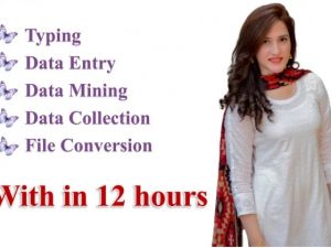 4 Hours Data Entry within 12 hours